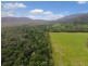 4 Buchanan Creek Road, Daintree QLD 4873