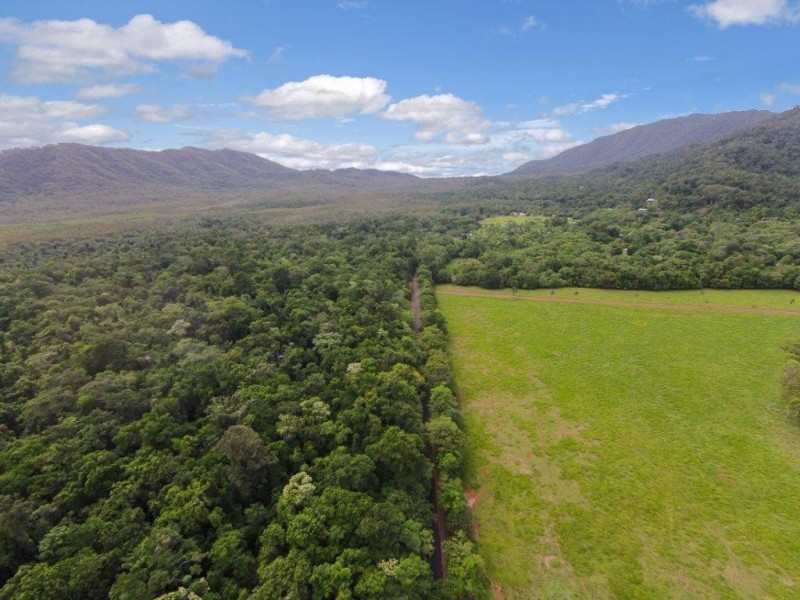 4 Buchanan Creek Road, Daintree QLD 4873