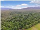 4 Buchanan Creek Road, Daintree QLD 4873