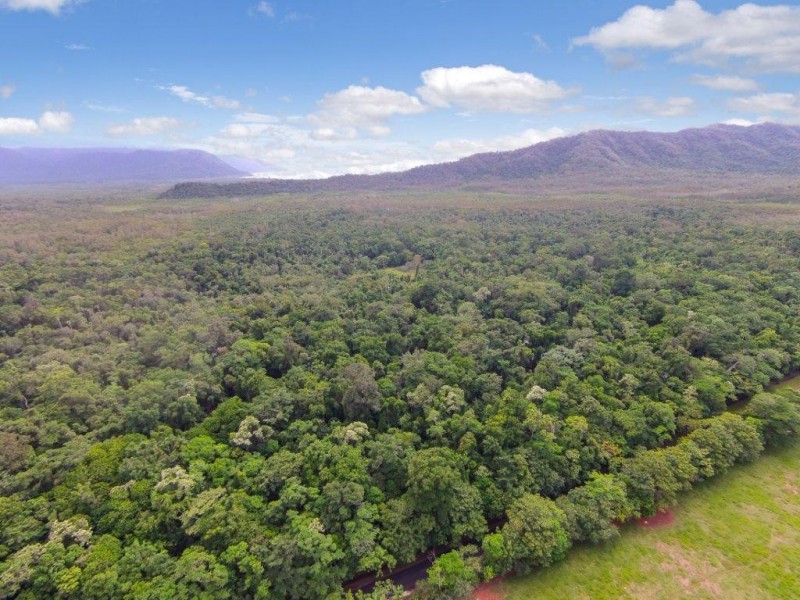 4 Buchanan Creek Road, Daintree QLD 4873