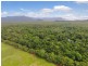 4 Buchanan Creek Road, Daintree QLD 4873