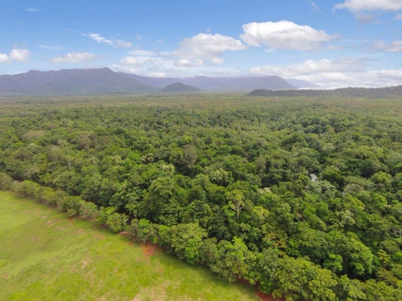 4 Buchanan Creek Road, Daintree QLD 4873
