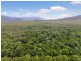 4 Buchanan Creek Road, Daintree QLD 4873