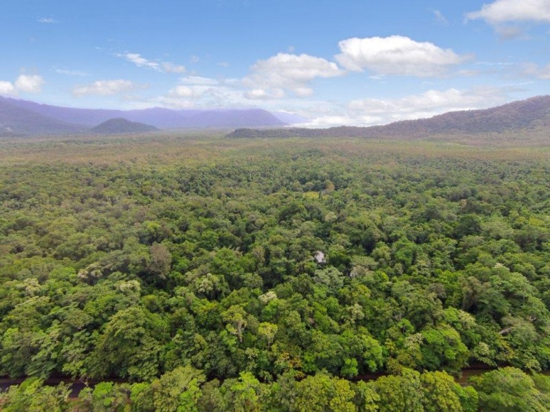4 Buchanan Creek Road, Daintree QLD 4873