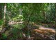 4 Buchanan Creek Road, Daintree QLD 4873