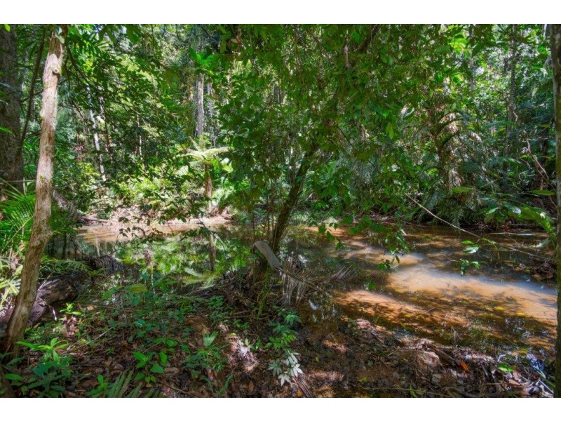 4 Buchanan Creek Road, Daintree QLD 4873