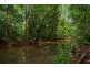 4 Buchanan Creek Road, Daintree QLD 4873