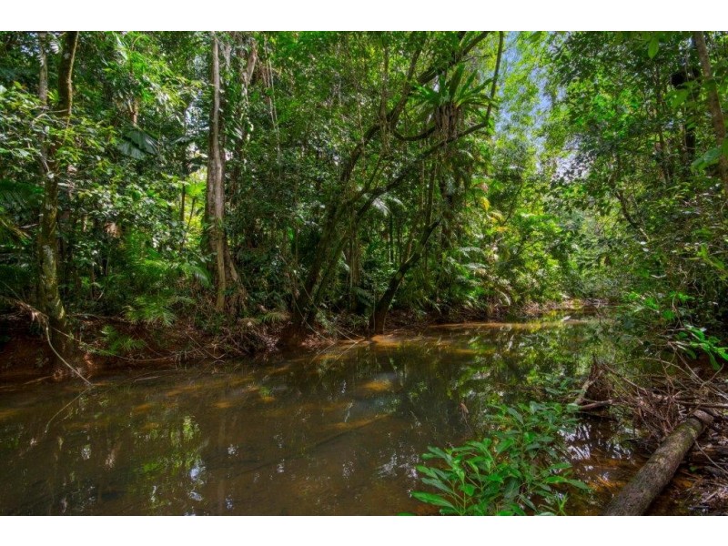 4 Buchanan Creek Road, Daintree QLD 4873
