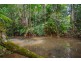 4 Buchanan Creek Road, Daintree QLD 4873