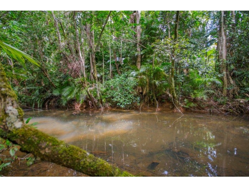 4 Buchanan Creek Road, Daintree QLD 4873