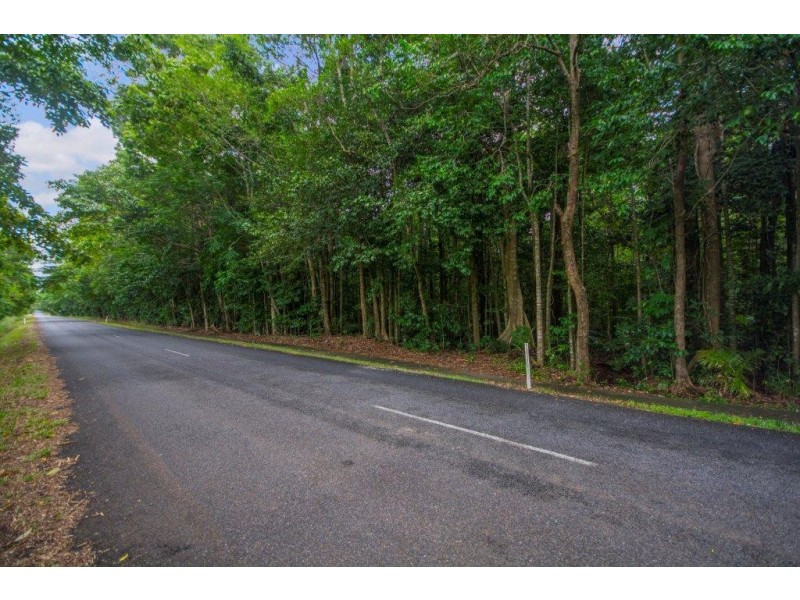 4 Buchanan Creek Road, Daintree QLD 4873