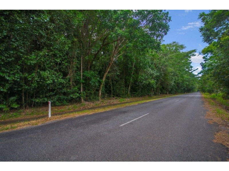 4 Buchanan Creek Road, Daintree QLD 4873