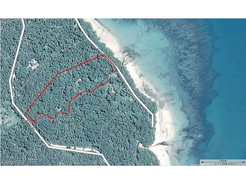 130 Rykers Road, Daintree QLD 4873