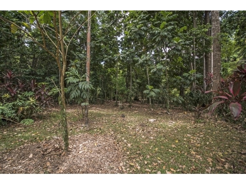 130 Rykers Road, Daintree QLD 4873