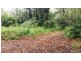 68 Forest Creek Road, Daintree QLD 4873