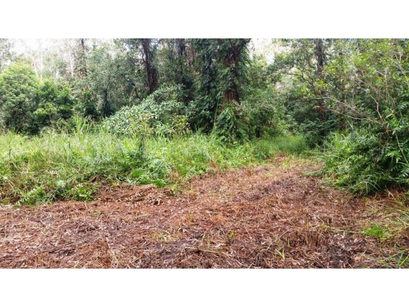 68 Forest Creek Road, Daintree QLD 4873