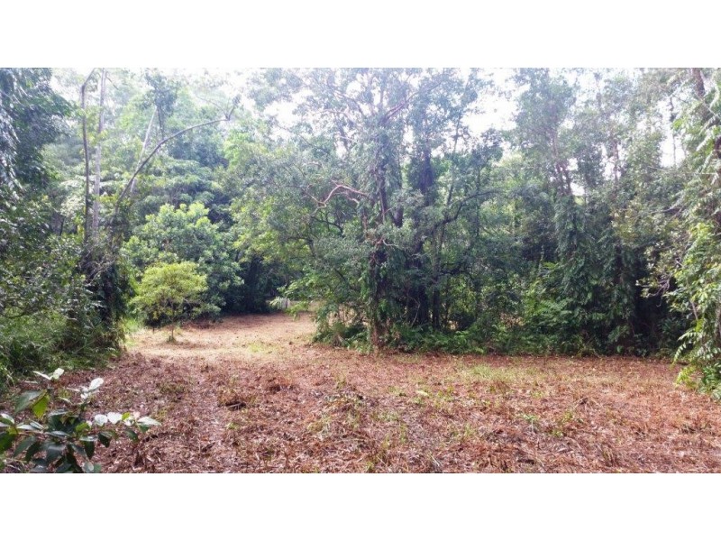 68 Forest Creek Road, Daintree QLD 4873