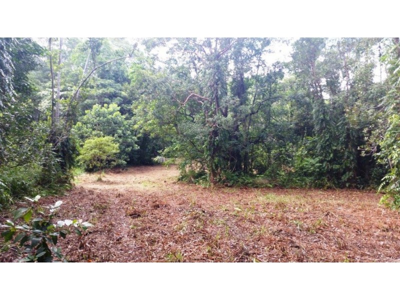 68 Forest Creek Road, Daintree QLD 4873