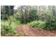 68 Forest Creek Road, Daintree QLD 4873