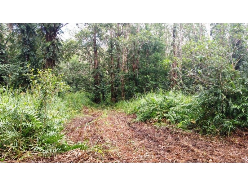 68 Forest Creek Road, Daintree QLD 4873