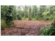 68 Forest Creek Road, Daintree QLD 4873