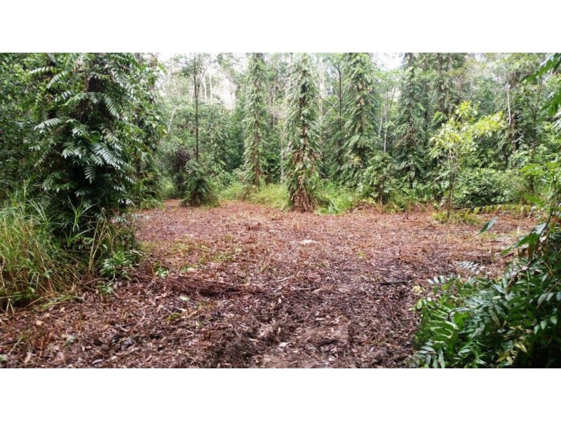 68 Forest Creek Road, Daintree QLD 4873