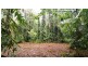 68 Forest Creek Road, Daintree QLD 4873