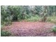 68 Forest Creek Road, Daintree QLD 4873