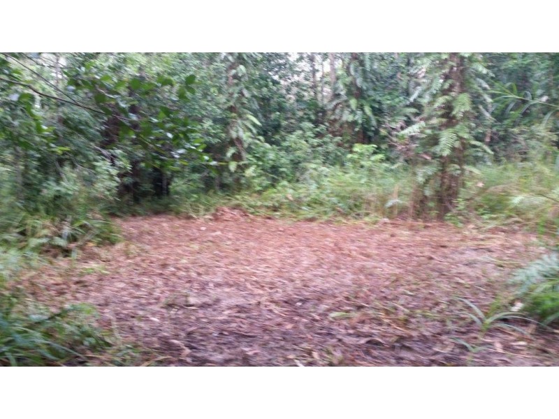 68 Forest Creek Road, Daintree QLD 4873