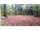 68 Forest Creek Road, Daintree QLD 4873