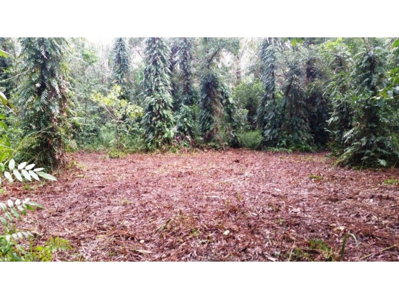 68 Forest Creek Road, Daintree QLD 4873