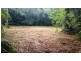 68 Forest Creek Road, Daintree QLD 4873