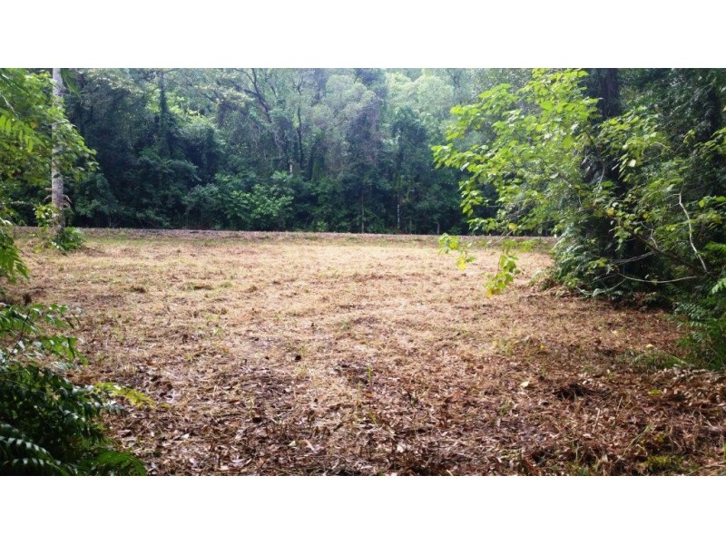 68 Forest Creek Road, Daintree QLD 4873