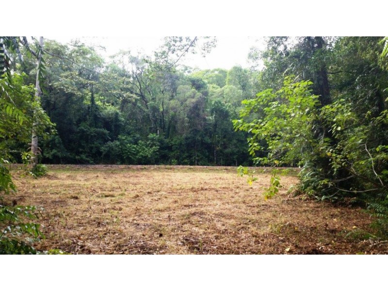 68 Forest Creek Road, Daintree QLD 4873
