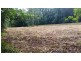 68 Forest Creek Road, Daintree QLD 4873