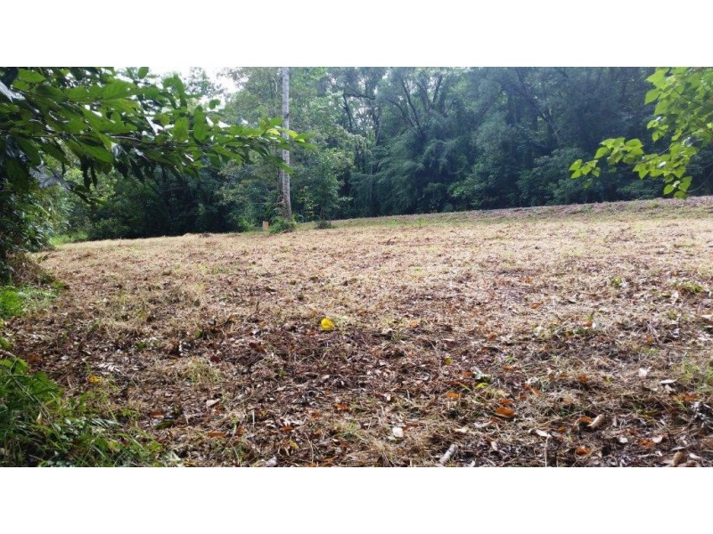 68 Forest Creek Road, Daintree QLD 4873