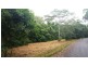 68 Forest Creek Road, Daintree QLD 4873