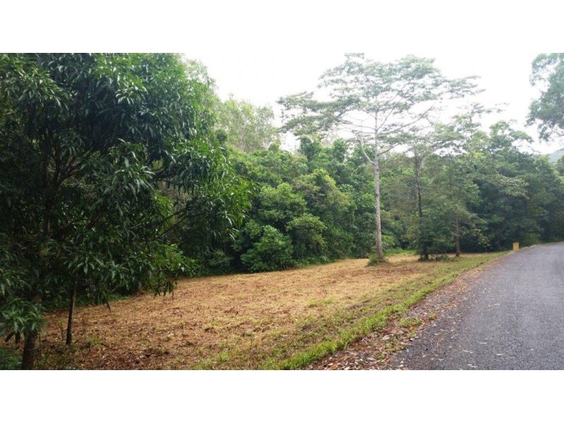 68 Forest Creek Road, Daintree QLD 4873