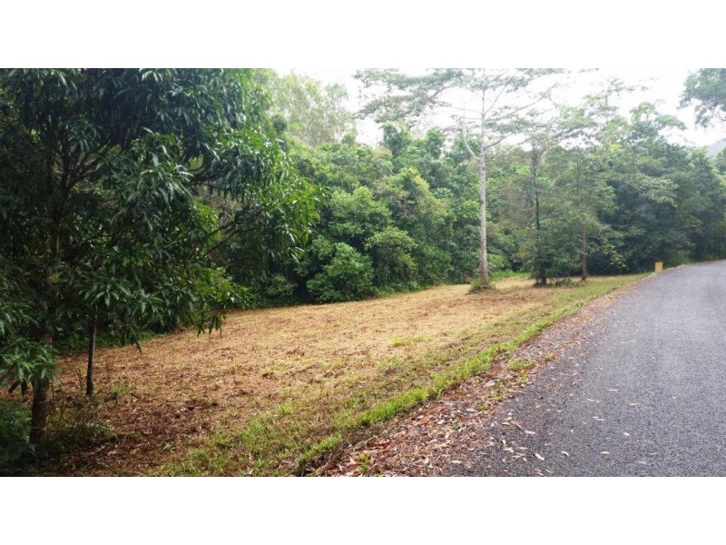 68 Forest Creek Road, Daintree QLD 4873