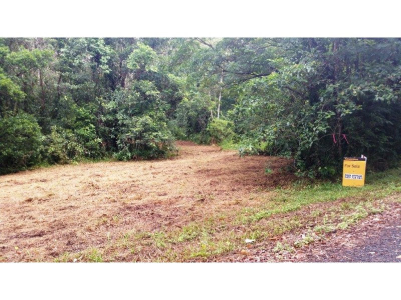 68 Forest Creek Road, Daintree QLD 4873