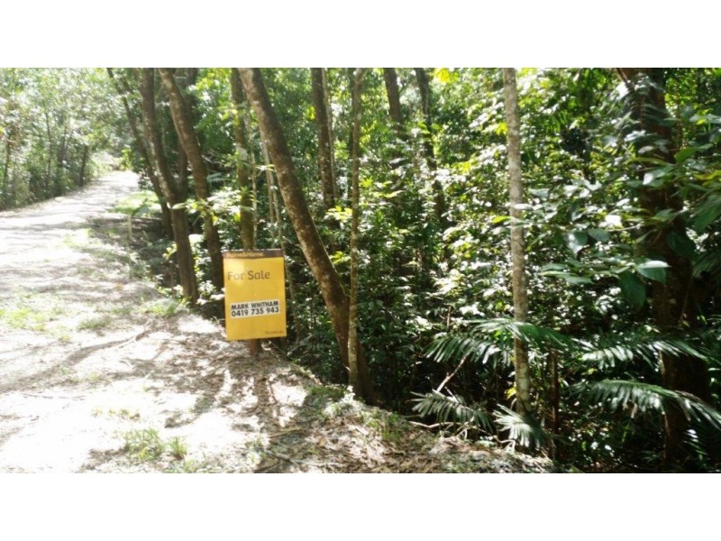 22 Forest Close, Daintree QLD 4873