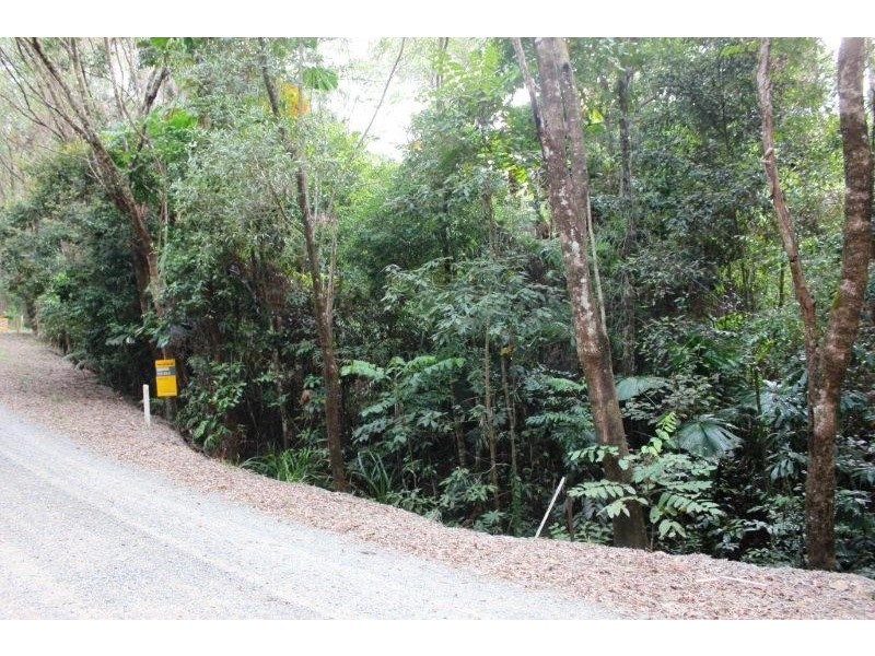 22 Forest Close, Daintree QLD 4873