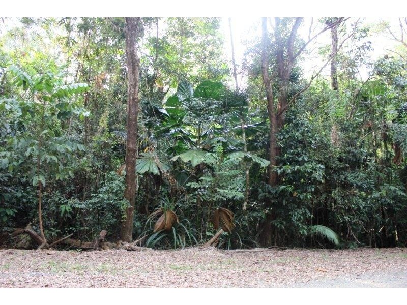 22 Forest Close, Daintree QLD 4873