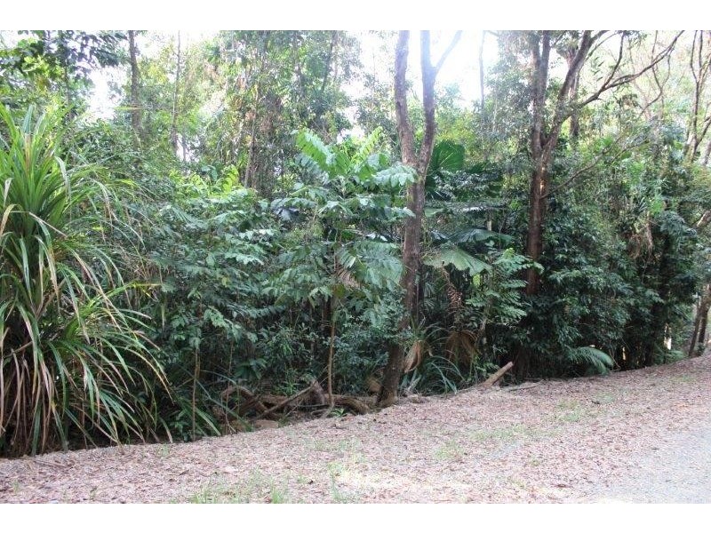 22 Forest Close, Daintree QLD 4873