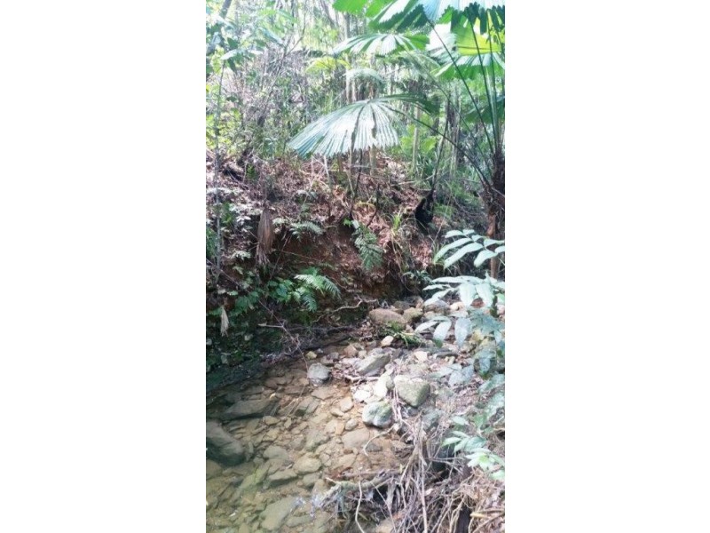 22 Forest Close, Daintree QLD 4873