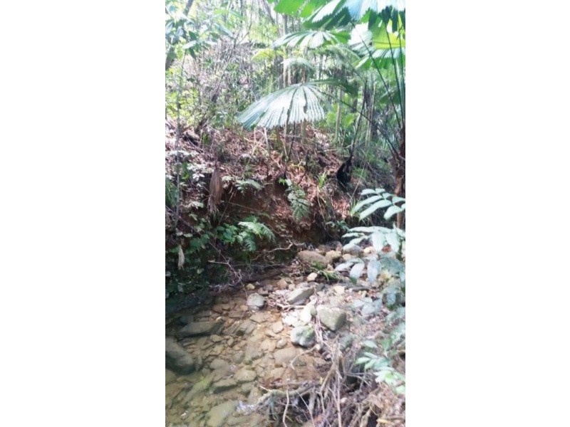 22 Forest Close, Daintree QLD 4873