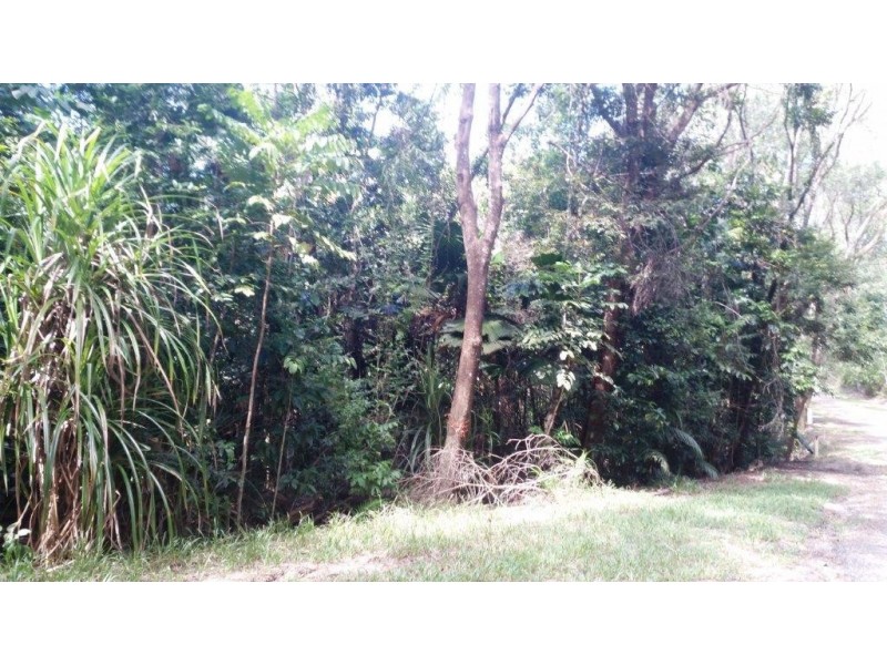 22 Forest Close, Daintree QLD 4873