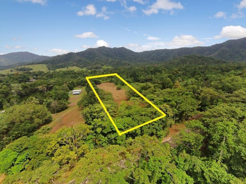 36 Mahogany Road, Daintree QLD 4873