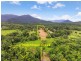 36 Mahogany Road, Daintree QLD 4873
