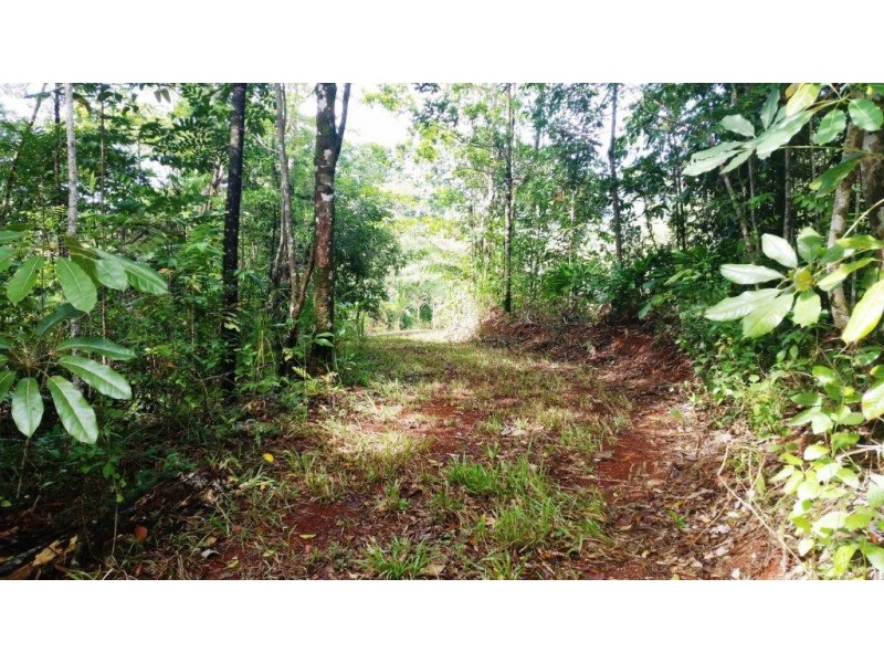 36 Mahogany Road, Daintree QLD 4873